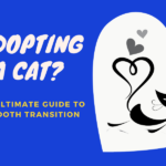 Adopting a cat