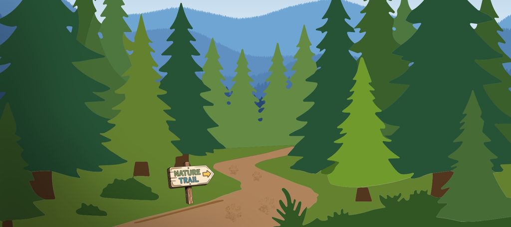 An illustrated nature trail winds through an Appalachian evergreen forest.